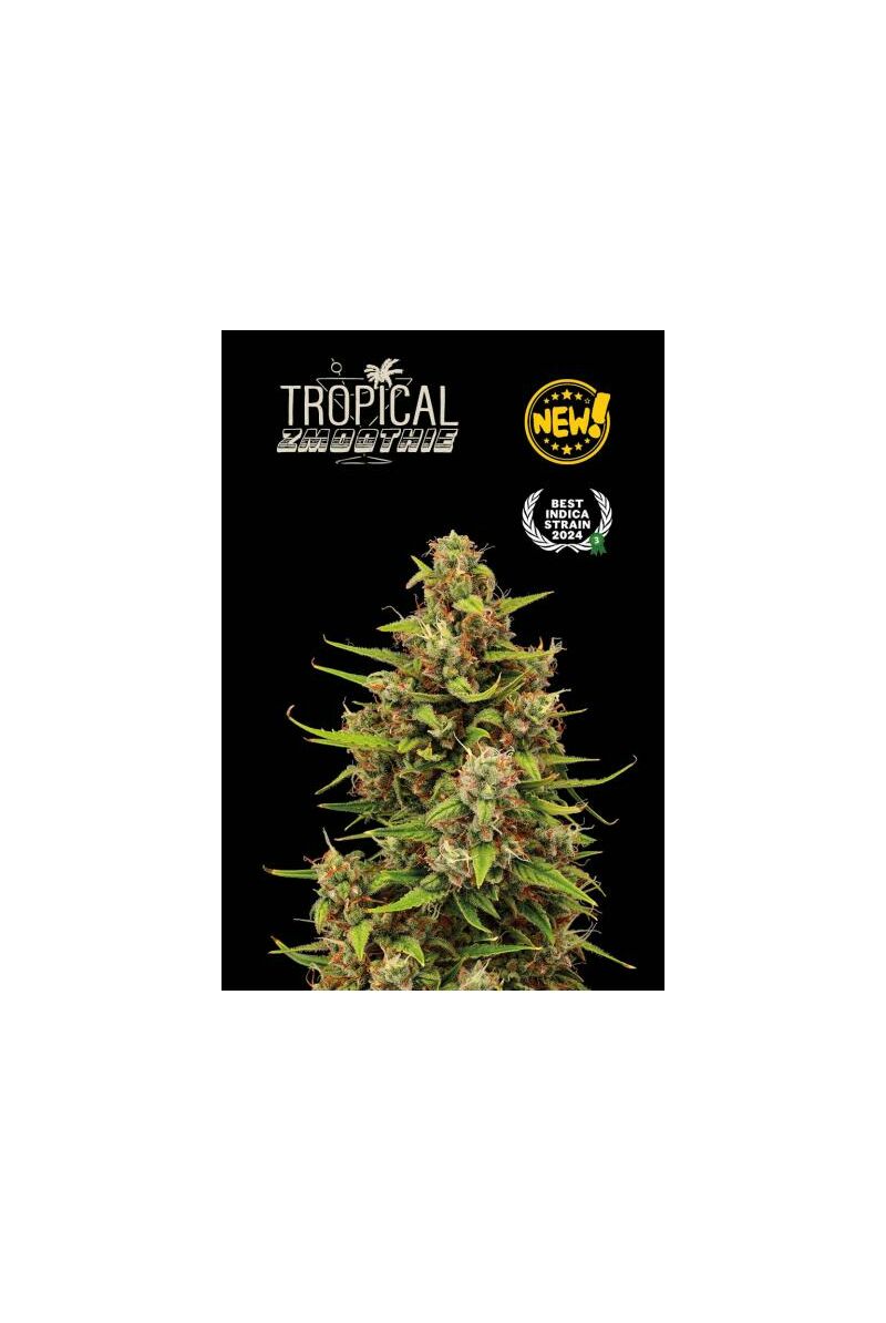 Tropical Zmoothie Auto, Фасовка: 1